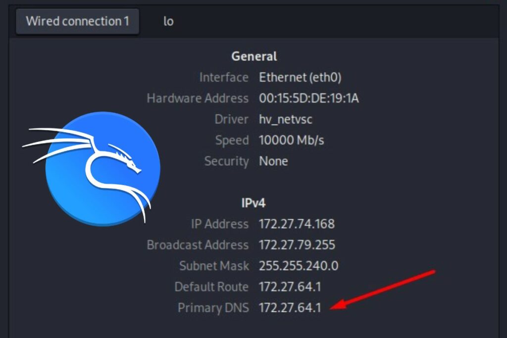 how to change dns server on kali linux